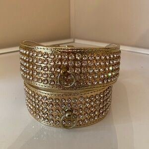 Dog collar with rhinestones.
ONE-18” collar fits a 16”neck. GOLD